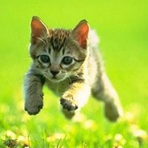 Meet your Posher, Jana